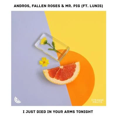 Andros/Mr. Pig/Fallen Roses/Lunis I Just Died In Your Arms Tonight (feat. Andros)