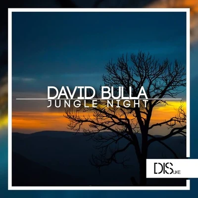 David Bulla Jungle Night