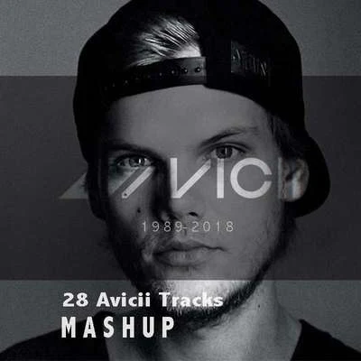 Moison Avicii 28 mashup