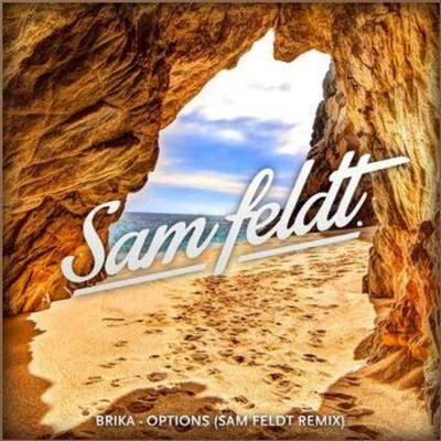 Sam Feldt Options (Sam Feldt Remix)