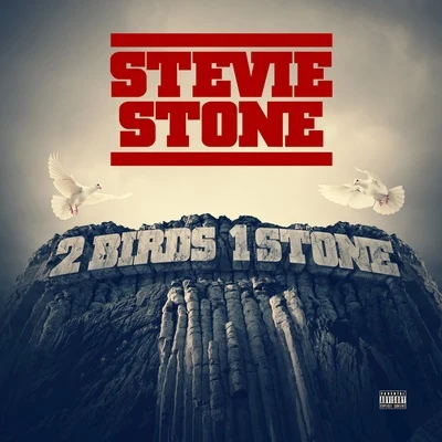 Stevie Stone 2 Birds 1 Stone