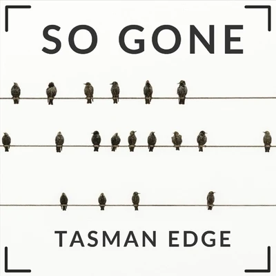 Tasman Edge/Ben Botfield So Gone