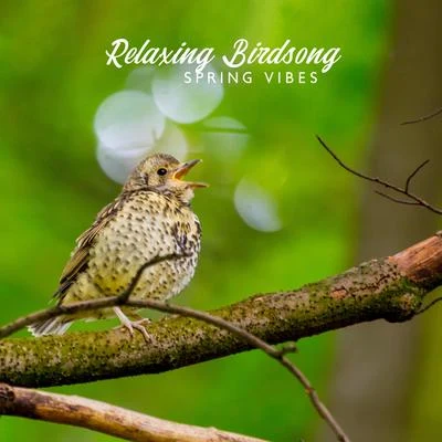 Natural Healing Music Zone/Bird Song Group Relaxing Birdsong - Spring Vibes, Great Mood, Happiness