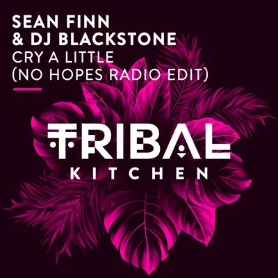 DJ Blackstone/Sean Finn Cry a Little (No Hopes Radio Edit)