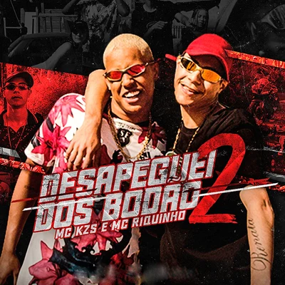 MC KZS/Mc Riquinho Desapeguei Dos Bodão 2