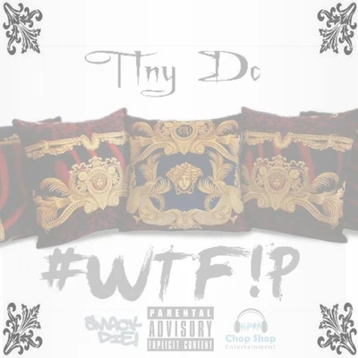 Tiny DC #WTF!P (What the **** Is a Pillow) - Single