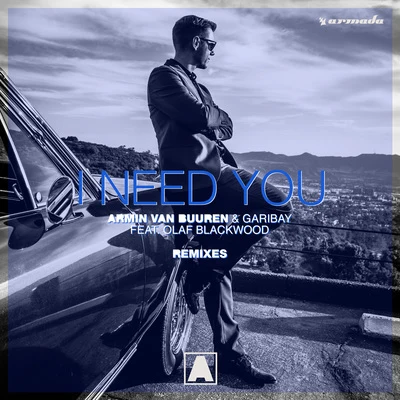 Armin van Buuren/Olaf Blackwood I Need You (Remixes)