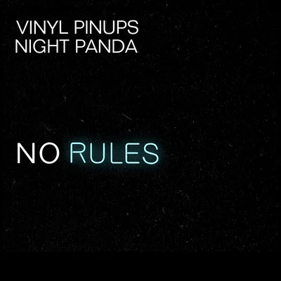 Vinyl Pinups/Night Panda No Rules