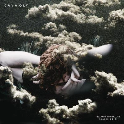 Crywolf Quantum Immortality (Radio Edit)