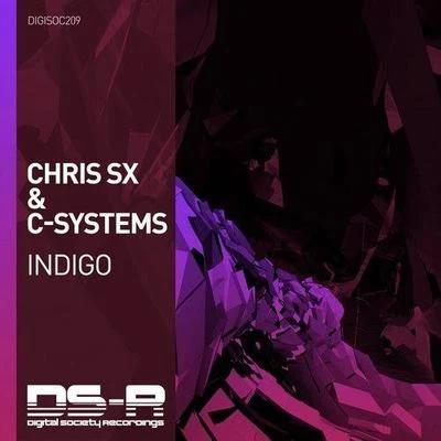 C-Systems INDIGO