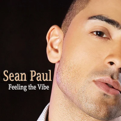 Sean Paul Feeling the Vibe (Remaster)