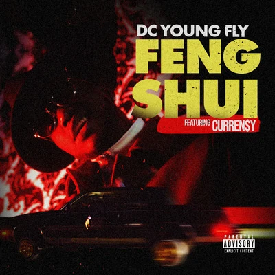 DC Young Fly Feng Shui