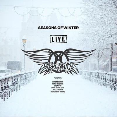 Aerosmith Seasons Of Winter (Live)