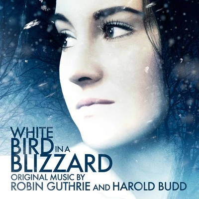 Harold Budd/Robin Guthrie White Bird in a Blizzard