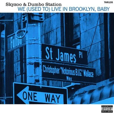 Skyzoo/Dumbo Station We (Used to) Live in Brooklyn, Baby