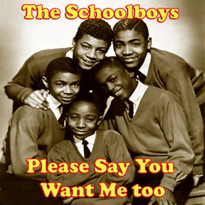 The Schoolboys Please Say You Want Me too