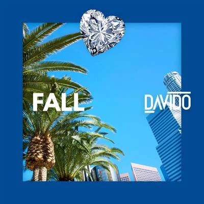 Davido Fall