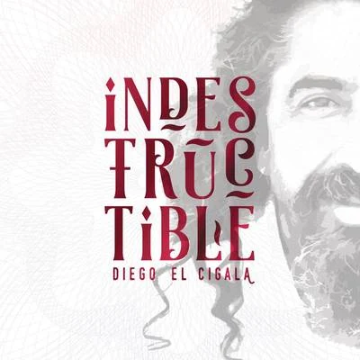 Diego el Cigala Indestructible: Track by Track