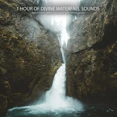 Ambient Nature White Noise/Ambient Forest/Natural Sounds 1 Hour of Divine Waterfall Sounds