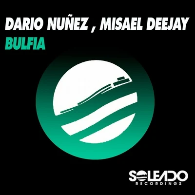 Dario Nunez Bulfia