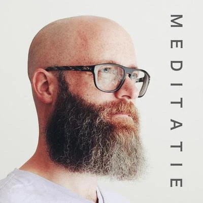 David Meditatie