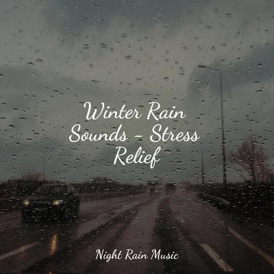 Regen zum Schlafen/Rest &amp; Relax Nature Sounds/Academia de Música con Sonidos de la Naturaleza Winter Rain Sounds - Stress Relief