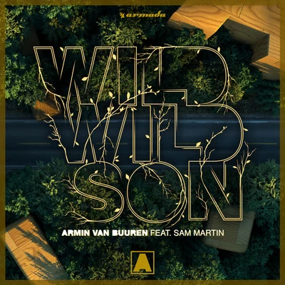 Sam Martin/Armin van Buuren Wild Wild Son