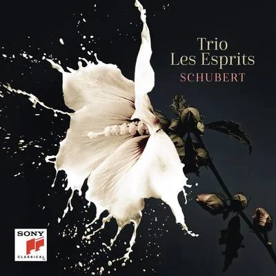 Franz Schubert/Anton Kuerti/Angele Dubeau/Adam Laloum/Mi-Sa Yang/Victor Julien-Laferrière Schubert