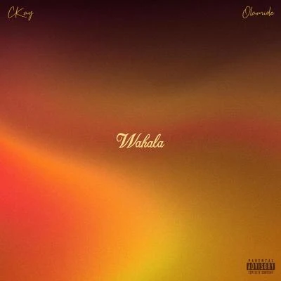 Olamide/CKay Wahala (feat. Olamide)