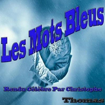 Thomas Les mots bleus