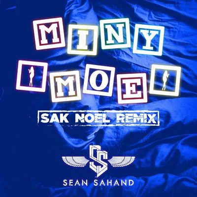 Sak Noel/Sean Sahand Miny Moe (Remix)