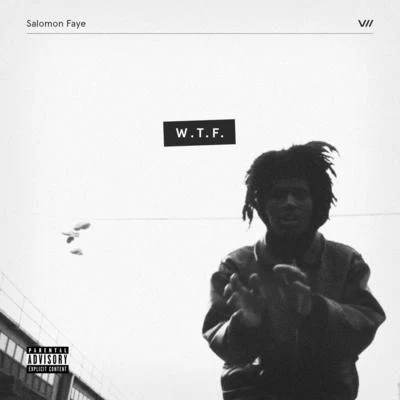 Salomon Faye W.T.F.