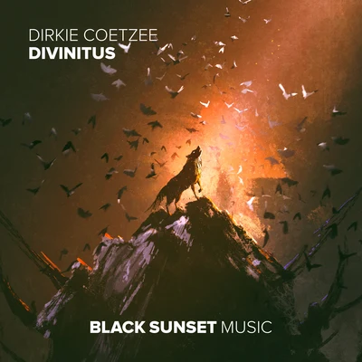 Dirkie Coetzee Divinitus