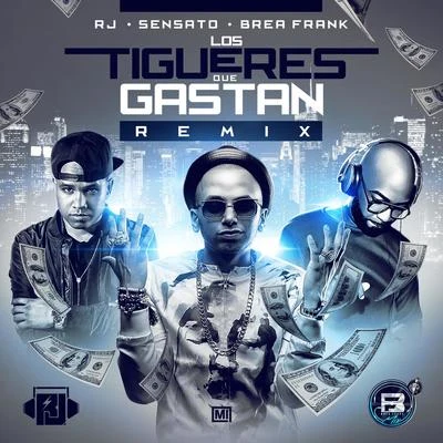 Sensato Los Tigueres Que Gastan (Remix)