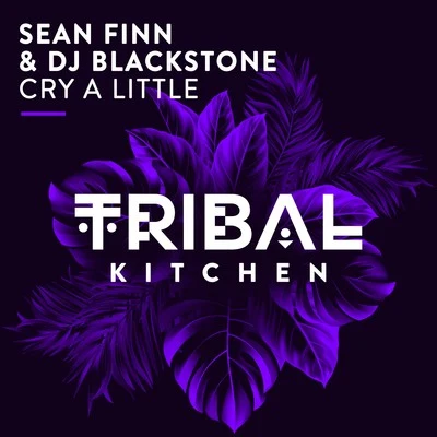 DJ Blackstone/Sean Finn Cry a Little (Radio Edit)