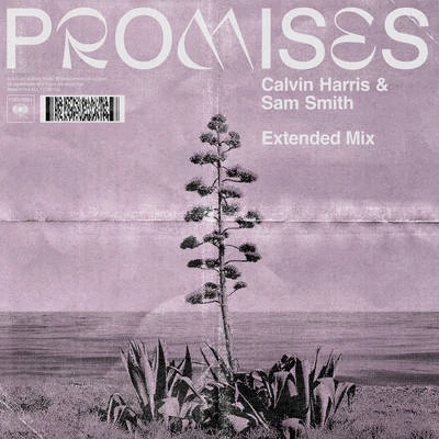 Sam Smith/Calvin Harris Promises (Extended Mix)