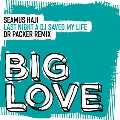 Seamus Haji Last Night A DJ Saved My Life (Dr Packer Remix)