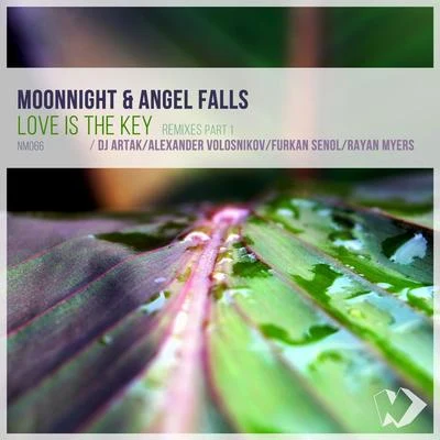 Moonnight Love Is the Key (Remixes, Pt. 1)