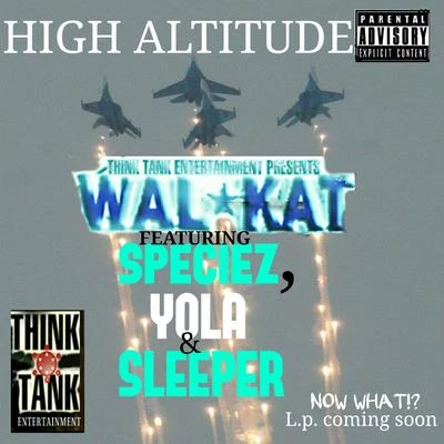 Yola/Sleeper/Walkat/Speciez High Altitude (feat. Species, Yola & Sleeper)