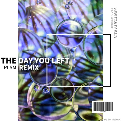 PLSM The Day You Left Remix）