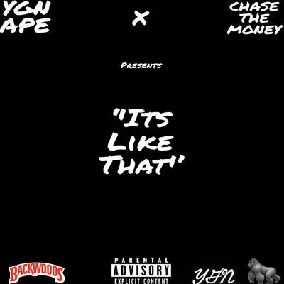 ChaseTheMoney/YGN APE Its Like That