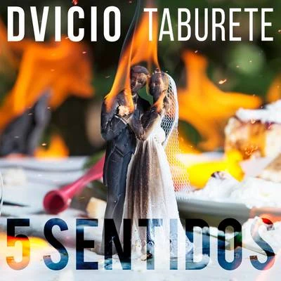 Taburete/Dvicio 5 Sentidos