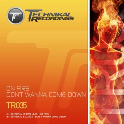 Audox/Dan Leak/Technikal On Fire Don‘t Wanna Come Down