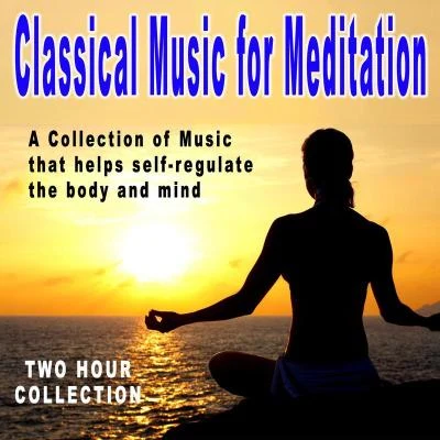 Various Artists/Herbert von Karajan/Thomas Beecham/Pietro Cavaliere, Clarinet/Ljubljana Chamber Orchestra/Bach, Debussy, Mozart, Grieg, Beethoven Classical Music For Meditation