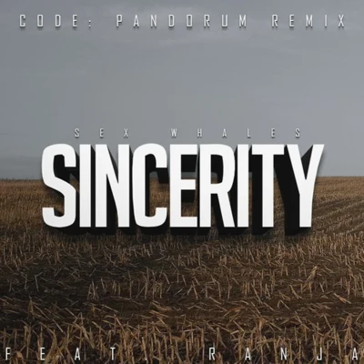 Code: Pandorum Sincerity (Code: Pandorum Remix)