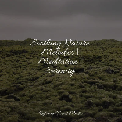 Serenity Spa Music Relaxation/Spa Zen/Academia de Música con Sonidos de la Naturaleza Soothing Nature Melodies | Meditation | Serenity