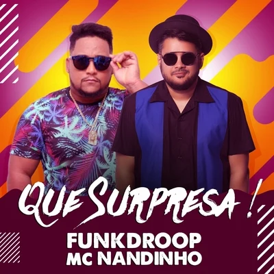 Mc Nandinho/Funkdroop Que Surpresa !