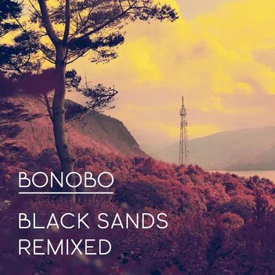 Bonobo Black Sands Remixed