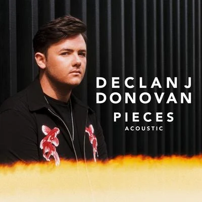 Declan J Donovan Pieces (Acoustic)