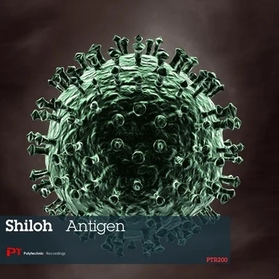 Shiloh Antigen